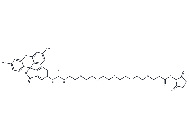 Fluorescein-PEG5-NHS ester