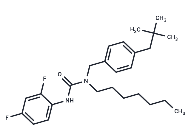 CL 277082