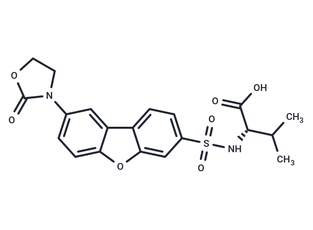 MMP-145