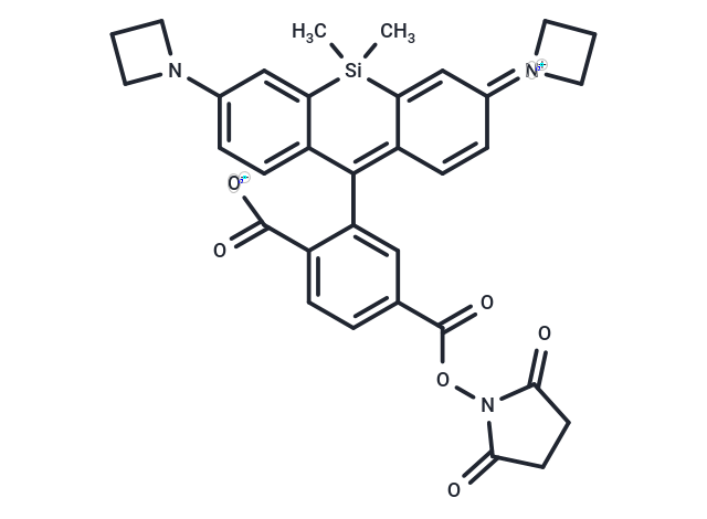 Janelia Fluor® 646, SE