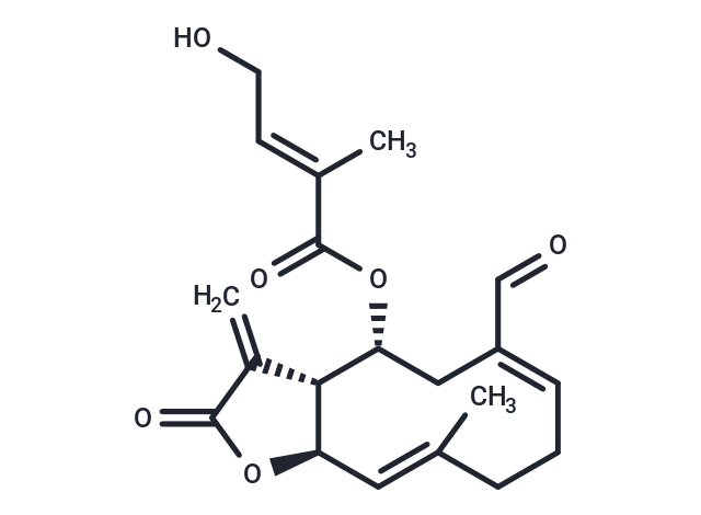 Eupahualin C