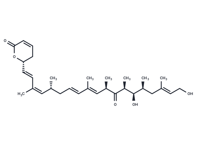 Leptolstatin