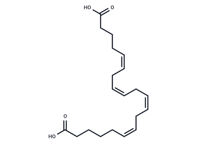 20-carboxy Arachidonic Acid