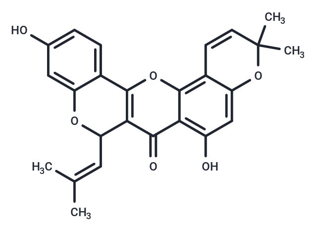 Cyclomorusin