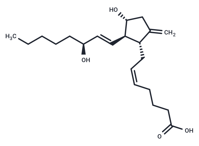 9-deoxy-9-methylene Prostaglandin E2