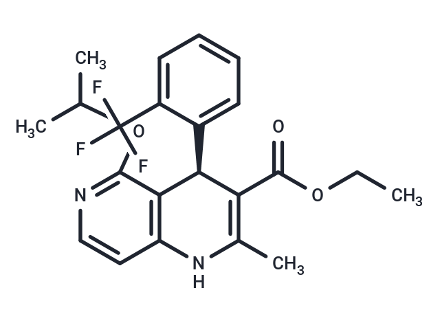 CI 951