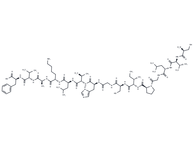 CMV pp65(13-27)