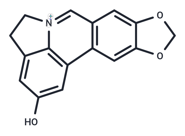 Lycobetaine