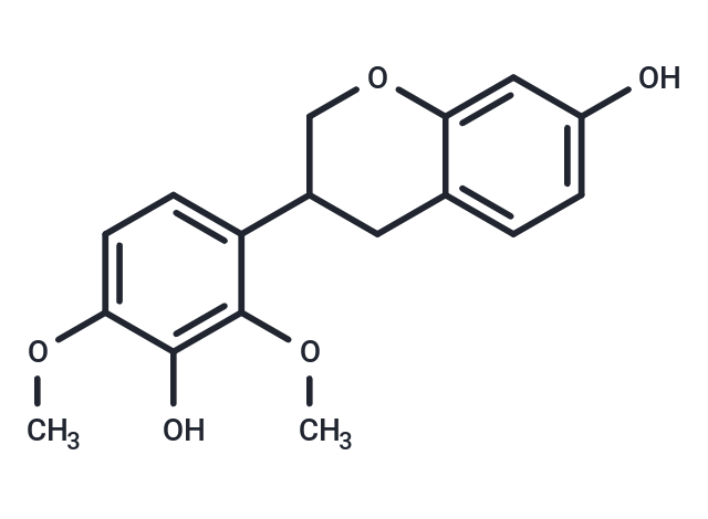 Mucronulatol