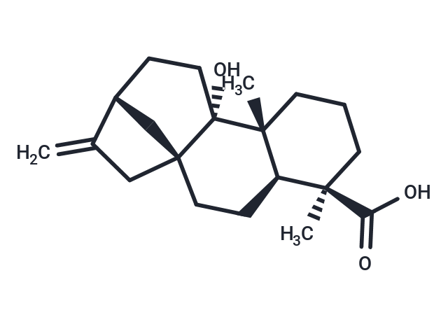 Pterokaurene L3