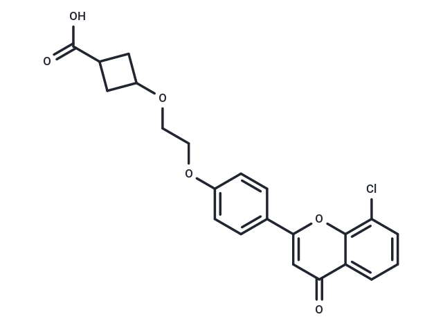 ccc_R08