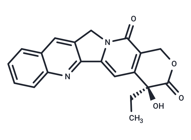 Camptothecin