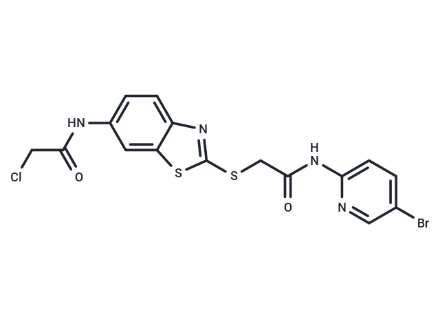 YLT205