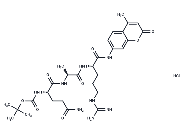 Boc-Gln-Ala-Arg-AMC hydrochloride