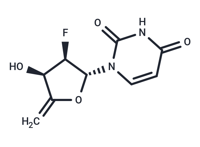 4’,5’-Didehydro-2’,5’-dideoxy-2’-fluorouridine