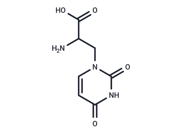 DL-Willardiine