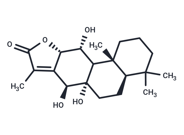 Yuexiandajisu D