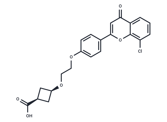 cis-ccc_R08