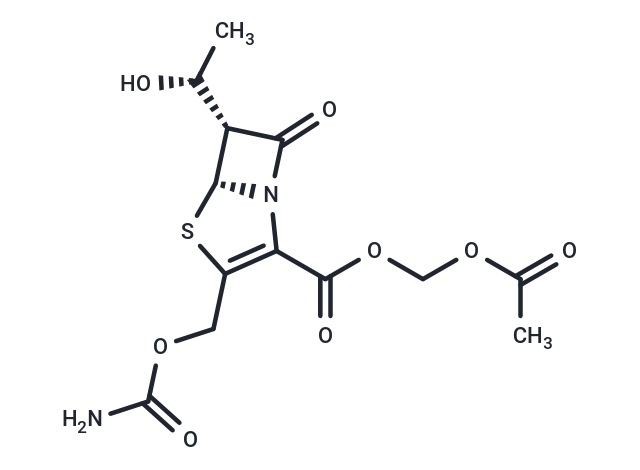 Ritipenem Acoxil