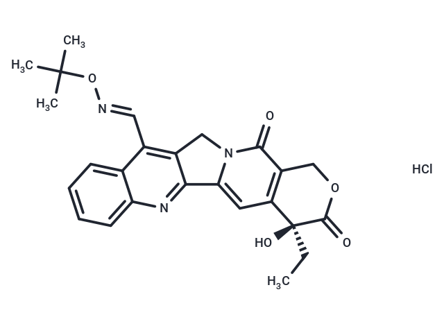 Gimatecan HCl