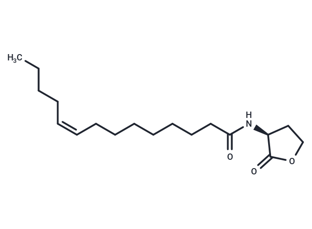 N-cis-tetradec-9Z-enoyl-L-Homoserine lactone