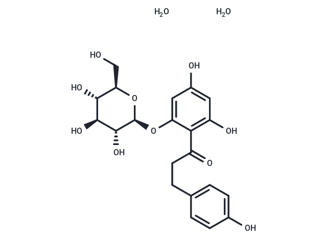 Phlorizin dihydrate