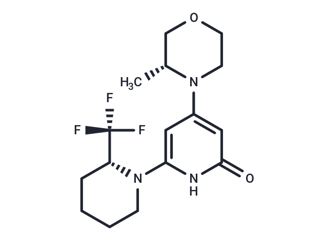 SB02024