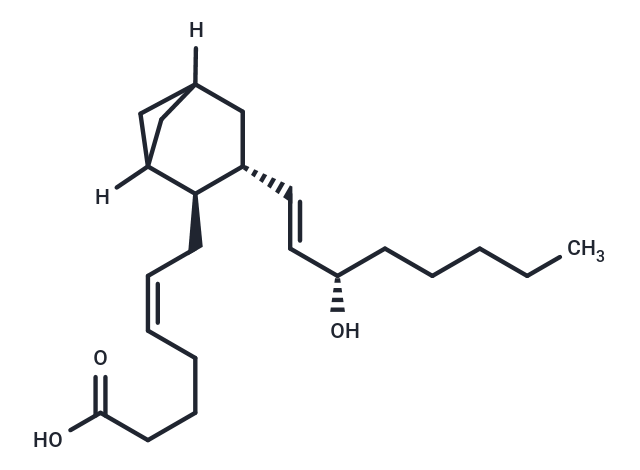 Carbocyclic Thromboxane A2