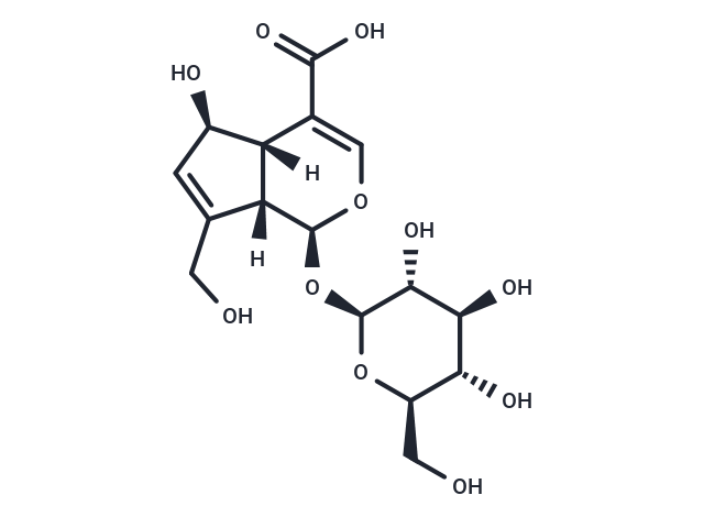 Scandoside