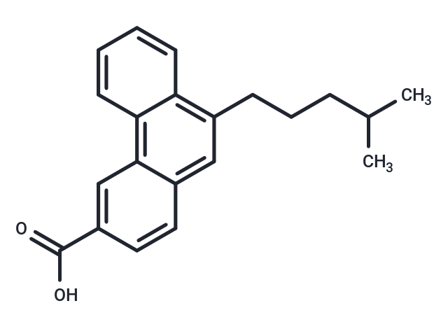 UBP646