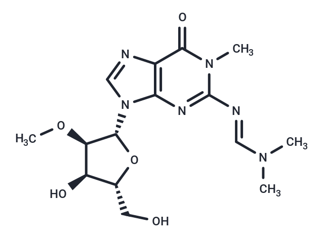 N2-[(N,N-Dimethyl)amino]methylene-N1-methyl-2’-O-Methyl   guanosine