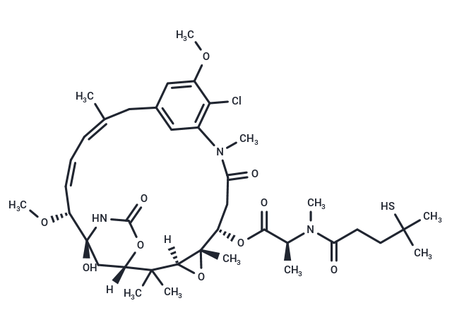 Maytansinoid DM4