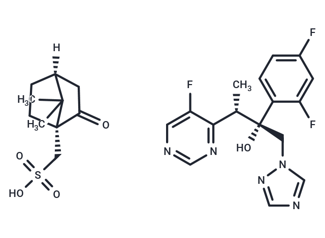 Voriconazole camphorsulfonate