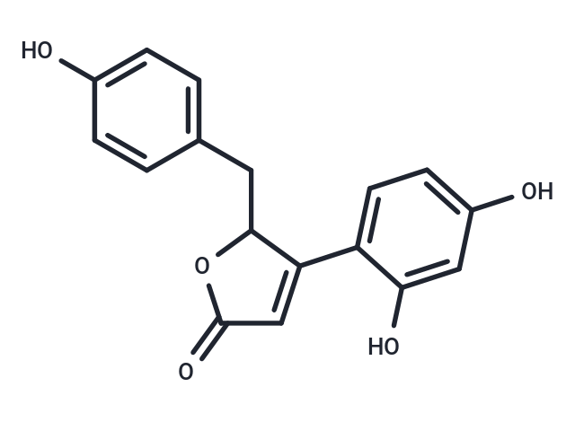 Puerol A