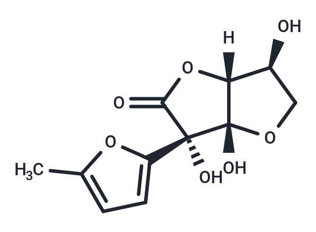 Nafocare B1