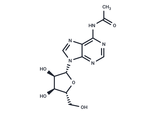 N6-Acetyl adenosine