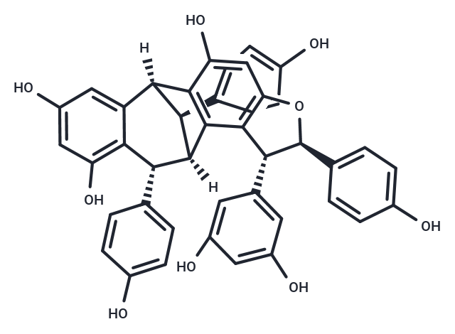 Ampelopsin G