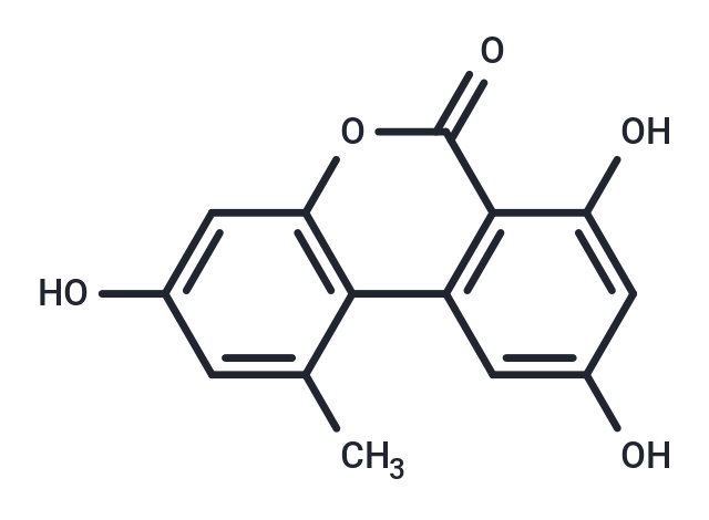 Alternariol