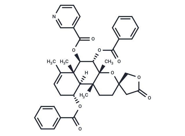 Scutebata G