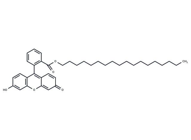 Fluorescein octadecyl ester