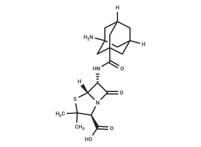 Amantocillin