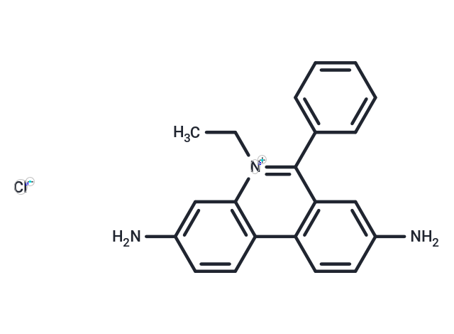 Homidium Cl