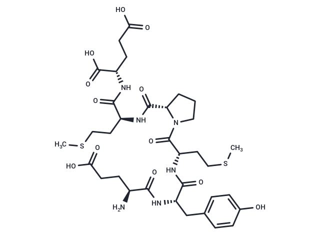 EE epitope