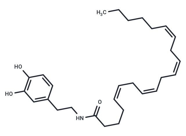 N-Arachidonyldopamine