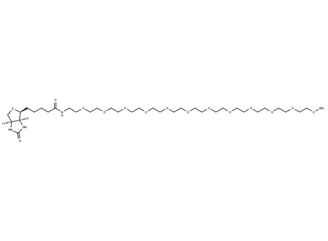 Biotin-PEG11-oxyamine