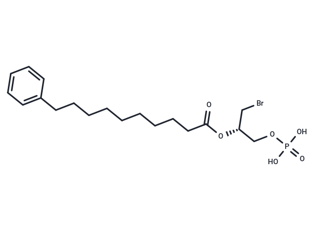 UCM-05194