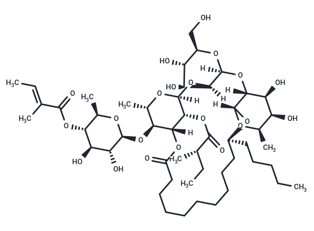 Scammonin VII