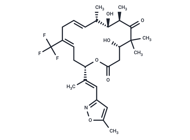 Iso-Fludelone