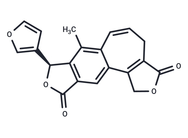 Isosalvipuberulin