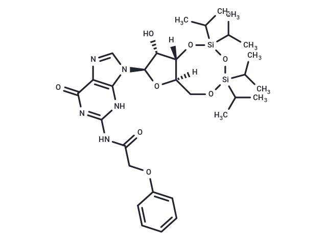 3’,5’-TIPS-N-PAc-Guanosine